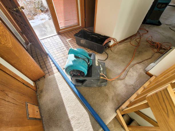 Best Flooded house restoration  in Mill City, OR