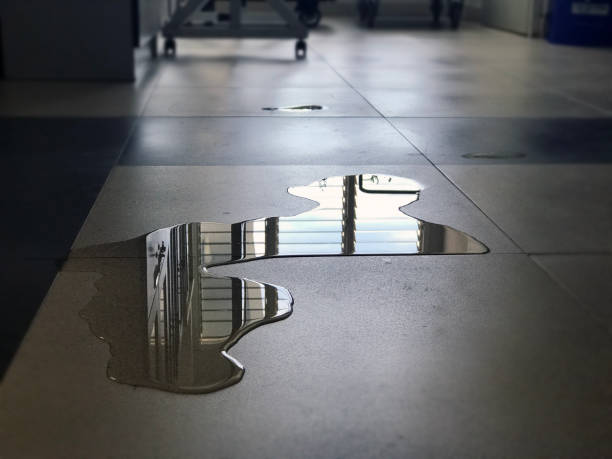 Best Water damage restoration experts  in Mill City, OR