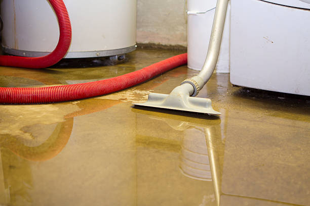 Best Residential water damage restoration  in Mill City, OR