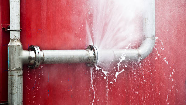 Best Professional water damage repair  in Mill City, OR